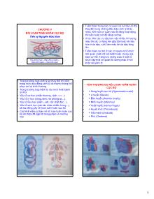 Bài giảng Bệnh lý thú y - Chương V: Rối loạn tuần hoàn cục bộ - Nguyễn Hữu Nam
