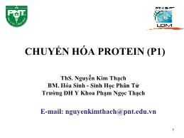 Bài giảng Chuyển hóa Protein (Phần 1) - Nguyễn Kim Thạch