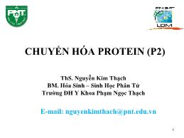 Bài giảng Chuyển hóa Protein (Phần 2) - Nguyễn Kim Thạch