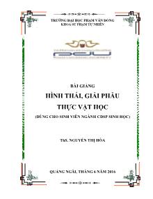 Bài giảng Hình thái, giải phẫu thực vật học - Nguyễn Thị Hòa