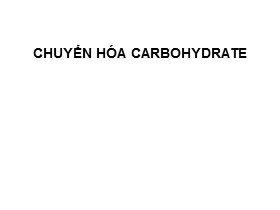 Bài giảng Hóa sinh động vật - Bài: Chuyển hóa carbohydrate
