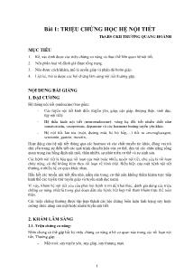 Bài giảng Nội tổng quát - Phần 4: Nội tiết - Trương Quang Hoành