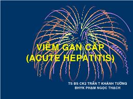 Bài giảng Viêm gan cấp (Acute Hepatitis) - Trần Khánh Tường