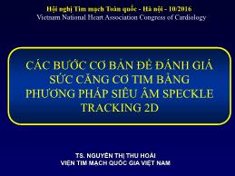 Các bước cơ bản trong đánh giá sức căng cơ tim bằng kỹ thuật Speckle Tracking 2D - Nguyễn Thị Thu Hoài