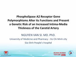 Phospholipase A2 Receptor Gene Polymorphisms Alter its Functions and Present a Genetic Risk of an Increased Intima-Media Thickness of the Carotid Artery