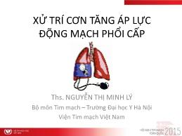Xử trí cơn tăng áp lực động mạch phổi cấp - Nguyễn Thị Minh Lý