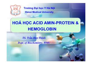 Bài giảng Acid Amin - Protein & Hemoglobin