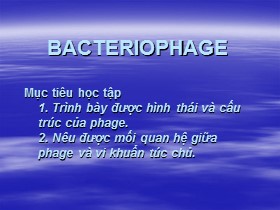 Bài giảng Bacteriophage