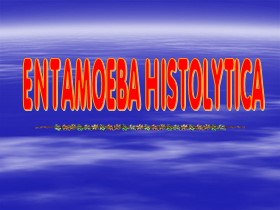 Bài giảng Entamoeba histolytica