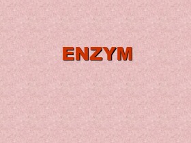 Bài giảng Enzym