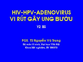 Bài giảng HIV-HPV-Adenovirus. Virus gây ung bướu - Nguyễn Vũ Trung