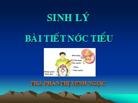 Bài giảng Sinh lý bài tiết nước tiểu - Phan Thị Minh Ngọc
