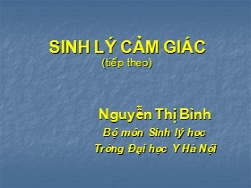 Bài giảng Sinh lý học thần kinh - Sinh lý cảm giác (Tiếp theo) - Nguyễn Thị Bình