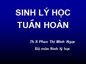 Bài giảng Sinh lý học tuần hoàn - Phan Thị Minh Ngọc