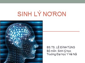 Bài giảng Sinh lý Nơron - Lê Đình Tùng