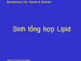 Bài giảng Sinh tổng hợp Lipid