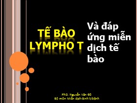 Bài giảng Tế bào LYMPHO T và đáp ứng miễn dịch tế bào - Nguyễn Văn Đô
