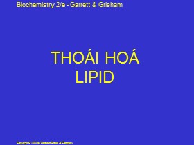 Bài giảng Thoái hóa Lipid