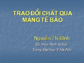 Bài giảng Trao đổi chất qua màng tế bào - Nguyễn Thị Bình